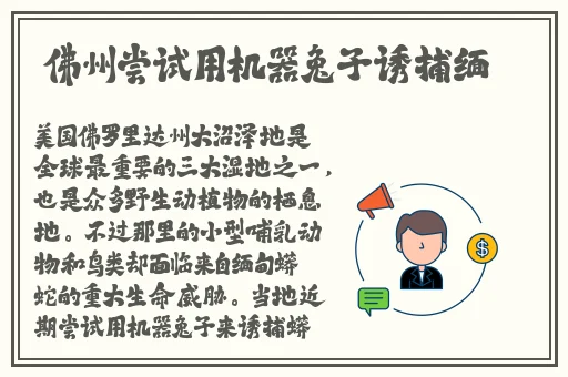 51吃瓜 网